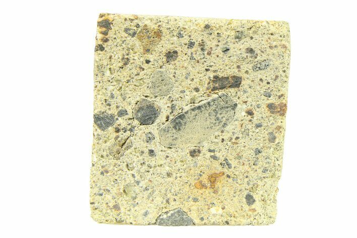 Diogenite Meteorite ( g) Slice - From Vesta Micro-Planet! #291747